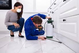 Best Fumigation Services  in Aldan, PA